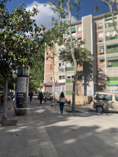 Flores y Burgos – Administradors i associats - Thumbnail