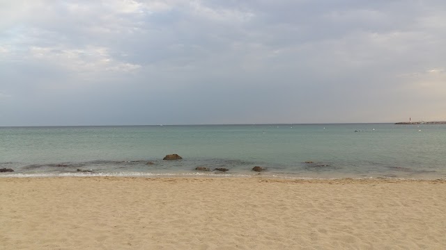 Can Pastilla Beach