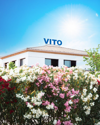 Photo 3 - Restaurant VITO