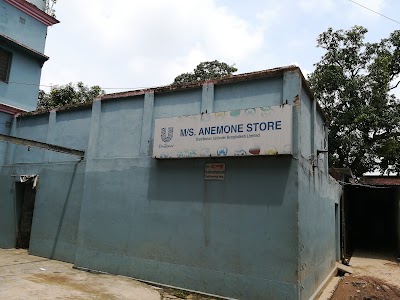 Photos of Anemone Store