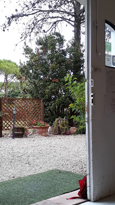 Photos of B&B Gli Acquerelli