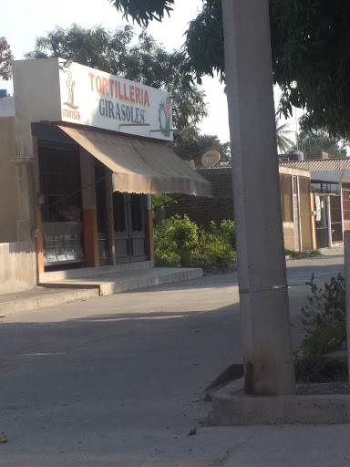Tortilleria girasoles