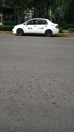 Servitaxis Siglo 21