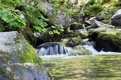 Cascate del Dardagna