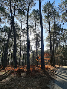 Forêt communale de Canéjan Chem. de Camparian, 33610 Canéjan, France