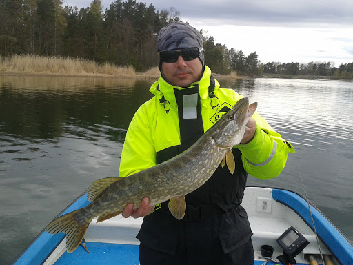 Gärdsholmens Skärgårdshemman - Thumbnail