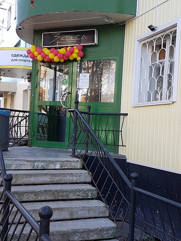 ветеринарка в коврове. соус ул декабристов 34. декабристов 34. соус ул декабристов 34. улица декабристов 34 ковров.