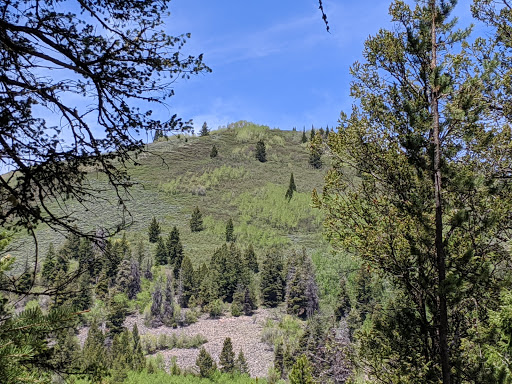 Moose Creek Trailhead