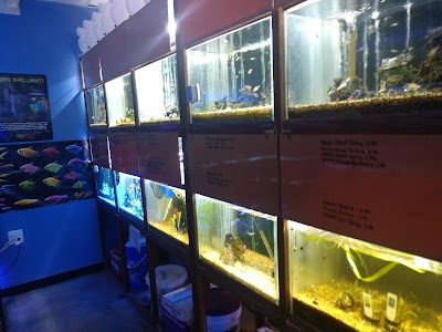 Aquarium Fish & Supply
