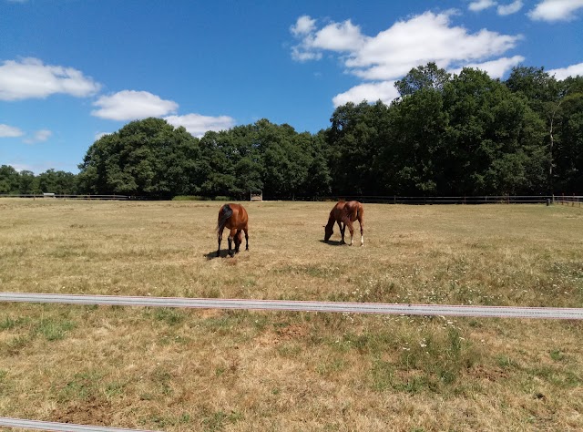 Parc de la Chantrerie