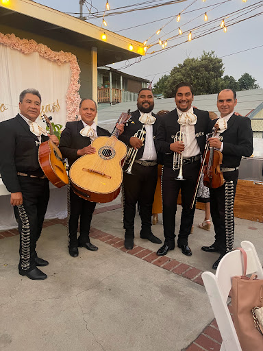 Mariachi México en la piel