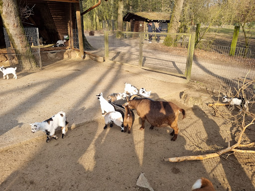 Streichelgehege