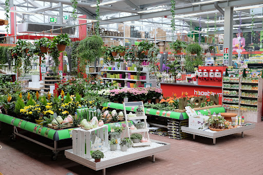 hagebaumarkt Glückstadt - Thumbnail