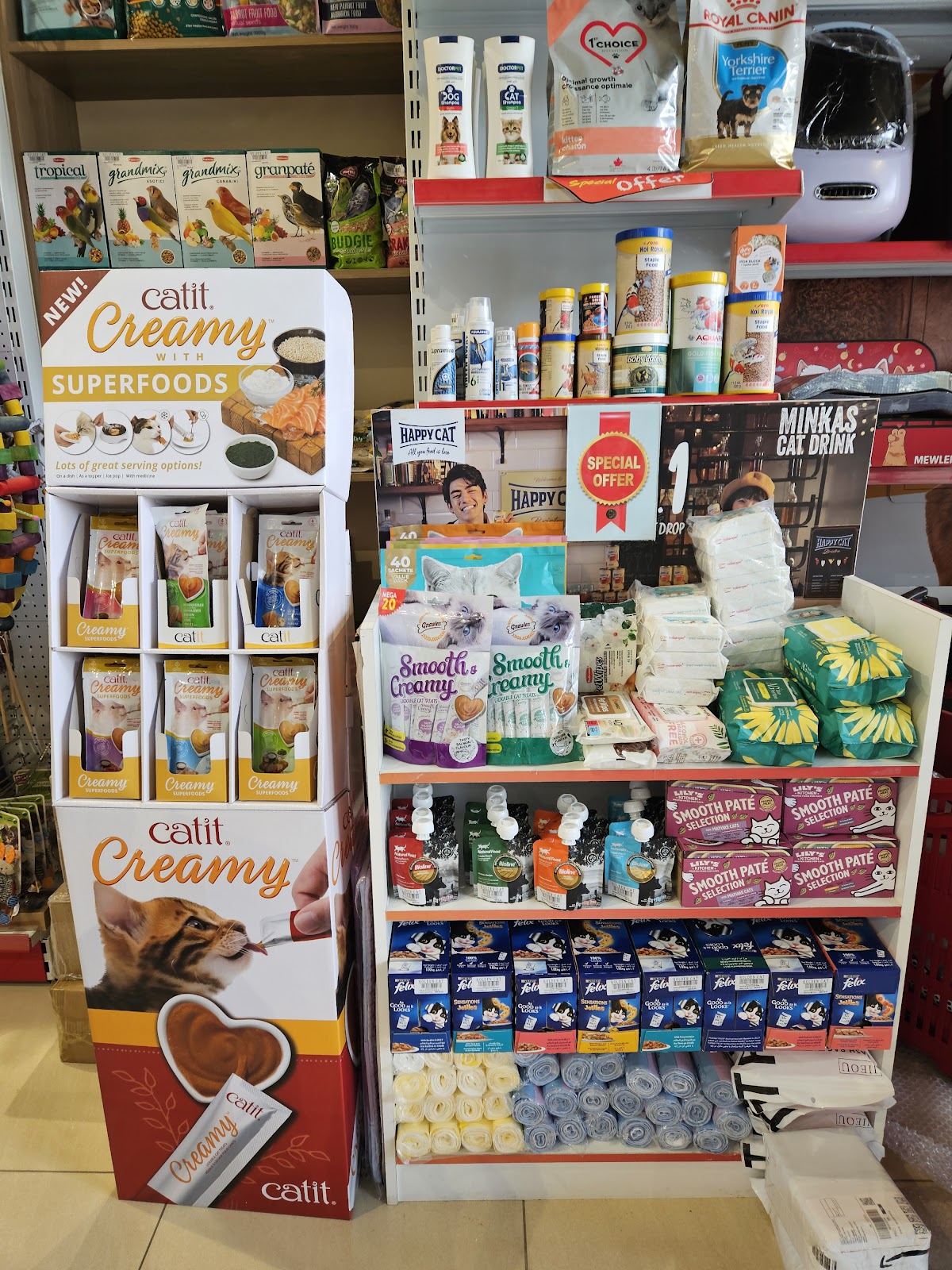 Pet shop Golden cat - صورة 3