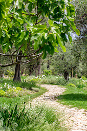 Photo n°2 de SEV Paysages à Biot (Paysagiste)