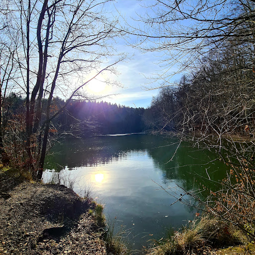 Zwölfweiherweg - Visual