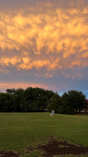 Bolin Park - Visual