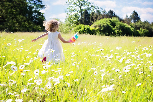 Lollipop Fields - Visual