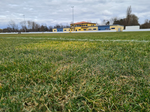 Sportpark Rosenstraße - Thumbnail