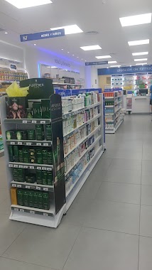 Farmacia Rp/Botanico, Author: Fefe fefe