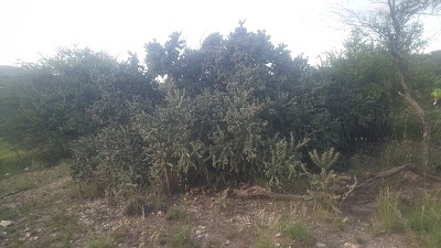 Photos of IJG Trials - Farm Windhoek