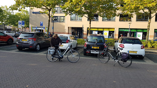 PLUS Ivo en Niké Pleijhuis Gallery - Netherlands