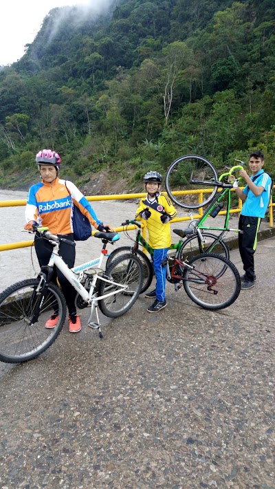Photos of Guayuriba