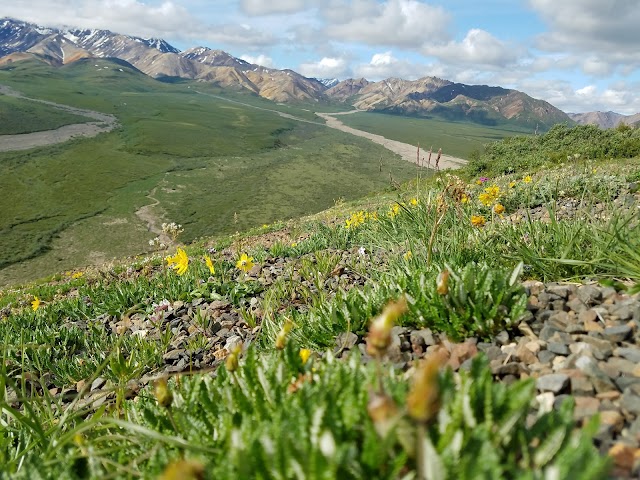 Denali National Park and Preserve