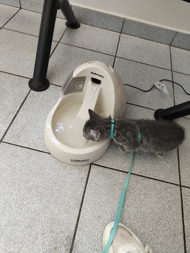 Clinique Veterinaire Recouvrance - Thumbnail