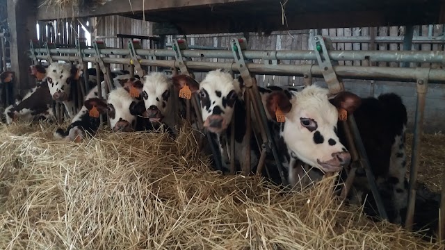 La Ferme Du Champ Secret