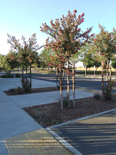 Walnut Grove School