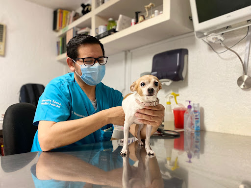 Monzalvo Hospital Veterinario Morelos