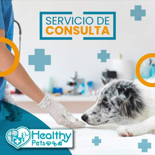 Healthy Pets Clínica Veterinaria