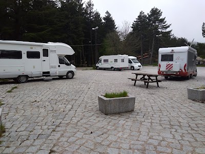 Area Camper Service