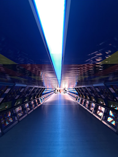 Captivated by Colour - Visual