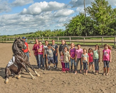 Chasing Laurels - Riding Lessons , Horse Boarding , & Training