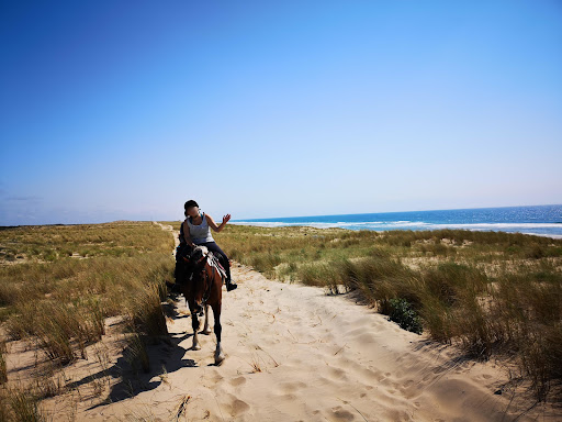 Destinations Cheval - Thumbnail
