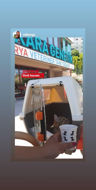 Vetarya Veteriner Tanı ve Tedavi Merkezi