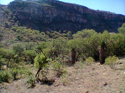 Photos of Nquthu Municipality