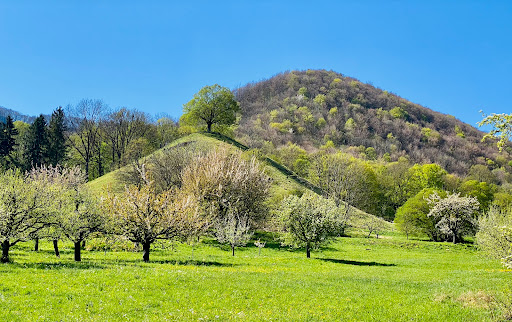 Calverbühl - Thumbnail