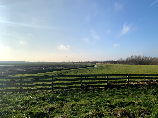 Lutkemeer