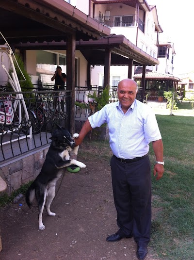 Photos of canik-vet. CANİK VETERİNER KLİNİĞİ --&Uuml;NYE
