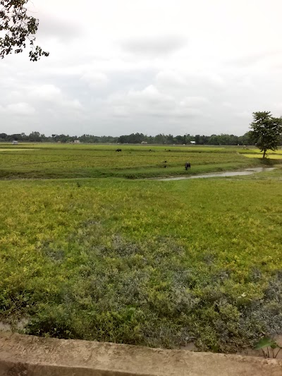 Photos of নকলা বাইপাস পার্ক