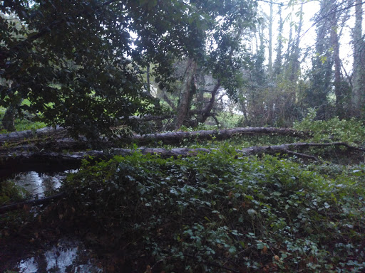 Pazo de Fraián - Thumbnail