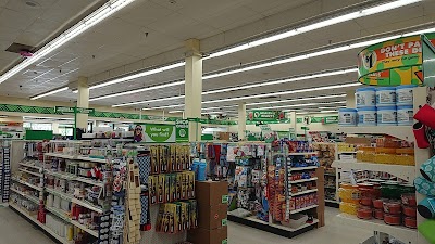 Dollar Tree