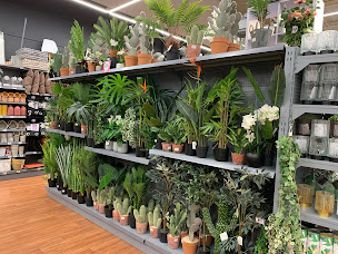 Photo n°8 de La Foir'Fouille à Vendin-le-Vieil (Magasin d'articles pour animaux)