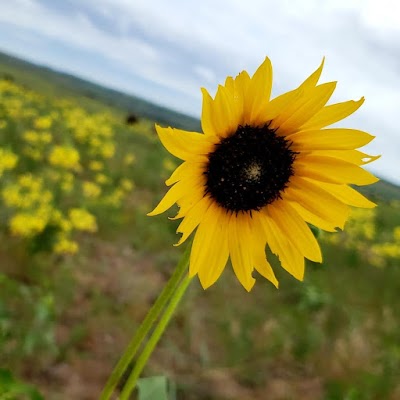 Niobrara Valley Preserve