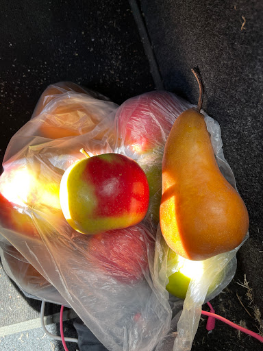 Avro Park Orchards - Thumbnail