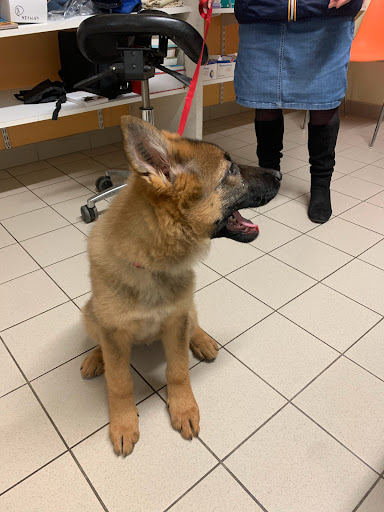 Cabinet Veterinaire Dr Manso