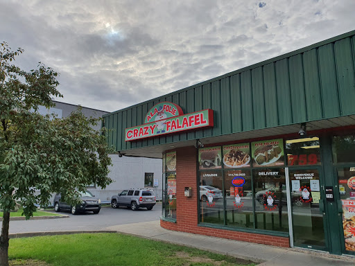 Crazy Falafel - Visual